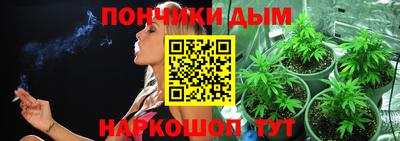 Альфа ПВП Обь